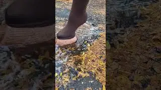 Leaf Puddle Hoof ASMR stompies!