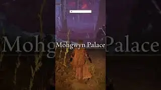 Как добраться до дворца Мохгвин