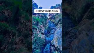 Chadwick falls Shimla #vloggerbenipal #shortsfeed #youtubeshorts #travelvlogs #shimla #water fall r