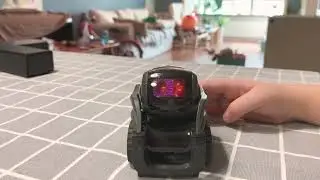 Vector comes back to life
