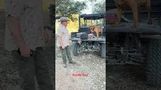 Turtlebox is the best outdoor speaker on the market #hunting #turtlebox #gearreview #speaker