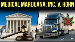 AI Law Professor - Medical Marijuana, Inc  v  Horn (2025)