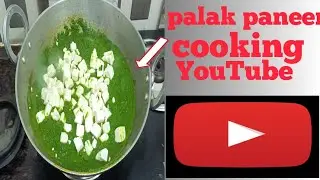Hello welcome to my blog palak paneer