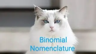 What is Binomial Nomenclature in Taxonomy ?