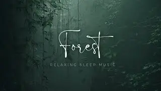 WHISPERS of the FOREST: One Hour of Tranquil Forest Music