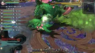 DNSEA Forest Dragon Nest Majesty POV Full Run