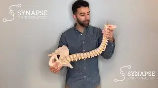 [Pediatric Care] How to Support Healthy Spine Development For Your Baby