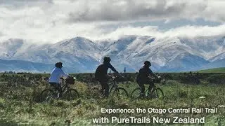 Experience the Otago Rail Trail with PureTrails NZ