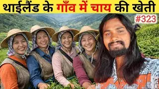 Mountain Village Tea Gardens with Magical Scenery !! Ep- 323