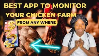 Best App To Monitor Your Chicken Farm Business From Anywhere | How to Monitor Your Poultry Farm