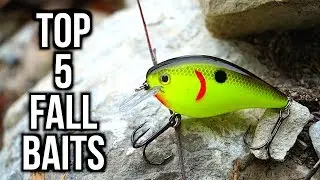 Top 5 FALL Bass Fishing Lures