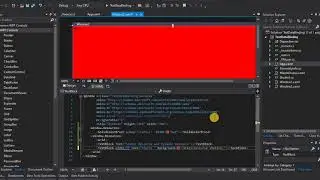Static and Dynamic Resource wpf - xamarin