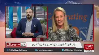 Alice Wells&rsquo; statement on CPEC means what for Pakistan?Analyst Hasan Akbar