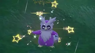 PEV : Cadoizo (Delibird) Shiny 2