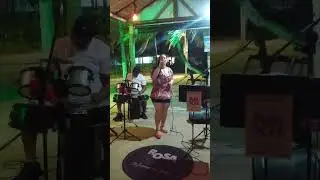 Rosa Bagd&aacute; - 31 de janeiro 2025 - Stella Maris (parte11) #musica #axemusic