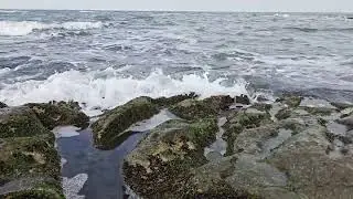 Relaxing Sea Waves 🌊 | Ocean Sounds for Stress Relief & Sleep