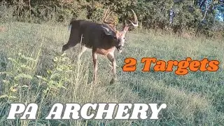 PA Archery | 2 Targets WEEK 1
