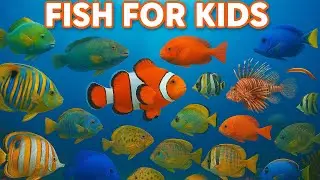 Fish for kids 🐠🐟 Learning video | Gold fish,Angelfish, lionfish, catfish.