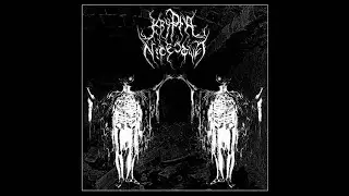 Krypta Nicestwa (Poland) - Sarkofagi Nocnych Zjaw (EP) 2020