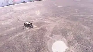 Vkar bison v2 haciendo el bruto