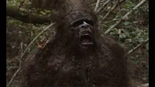 Alaska Howl vs. Ohio Howl
