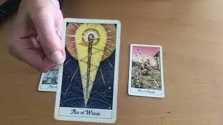 Funny Tarot Card Readings