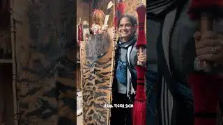 Hornbill Festival Is More Than a Festival | Nagaland Travel Episode 2 #shorts 