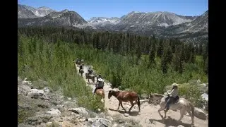 Weekend appointment TV! High country horse drive: John Wayne's costumer; the Hollywood Buffalo herd!