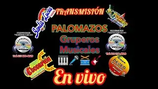 PALOMAZOS Tropicales Repremusic