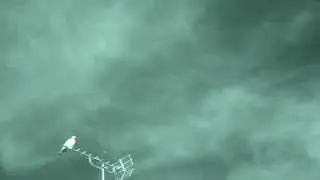 Strange aerial anomalies