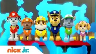 🇧🇷Animation Movies For Kids 2016🇧🇷Paw Patrol Brasil Official Theme Song Nick Jr