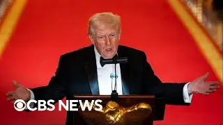 Economic impact of Supreme Court decision striking down Trump's tariffs