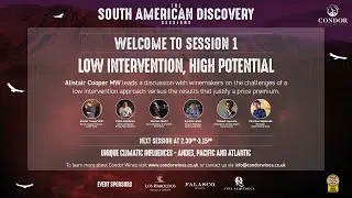 Condor Wines - South American Discovery Sessions - Low Intervention, High Potential