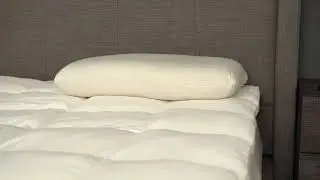InsurgentSleep Organic s3 Molded Latex Pillow