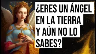 &iquest;Probablemente eres un &aacute;ngel en la Tierra y a&uacute;n no lo sabes?