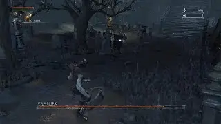 Bloodborne The Old Hunters Edition_20260124193357