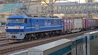 【被り🥲】1066レ EF210形0番台4号機(新塗装) コキ 鶴見駅 通過シーン 2026.01.17