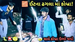 🐍 Real Cobra Rescue | ઘર પાસે મળ્યો કોબ્રા | Safety First Awareness Video