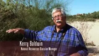 Rillito River Park