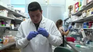 Helios Scholars at TGen 2014