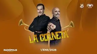 La Corneta - Las pollas de gorila son absolutamente peque&ntilde;as. La raz&oacute;n es fascinante.