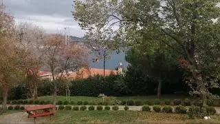 Fethipaşa korusu, sabah, rüzgar - İstanbul
