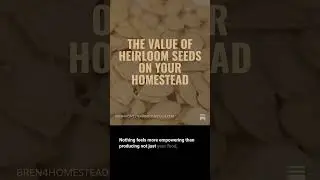 The Value of Heirloom Seeds on Your Homestead #homestead #heirloomseeds #seedsaving