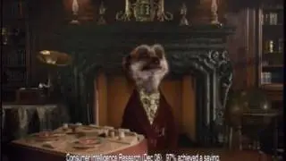 Simples! Compare the Meerkat