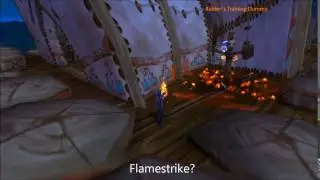NEW FIRE MAGE ANIMATIONS IN 7.3!