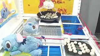 Lucky Free Daily Ticket Toreba Play!