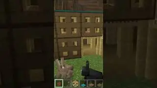 Rabbit house.