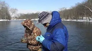 Winter Steelhead Plugging St Joe River