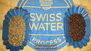 What Is Swiss Water Decaf Coffee? How is Swiss Water Process Decaffeinated Coffee Manufactured?
