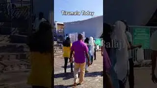 Tirumala Today Live #shorts #balaji